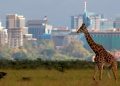 Top Best 5 Tourist Attractions in Nairobi For Safaris