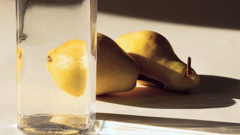 Navigating a Noisy World: How to Stay Focused and Present Daily