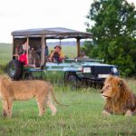 Guests in Masai Mara on Safari