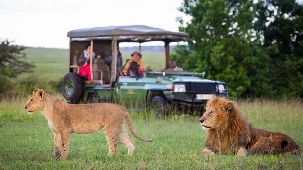 Guests in Masai Mara on Safari