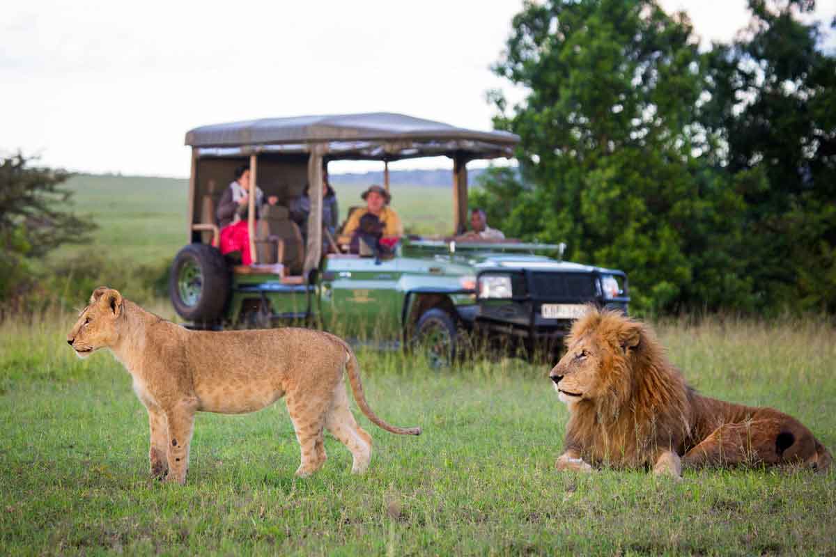 Guests in Masai Mara on Safari